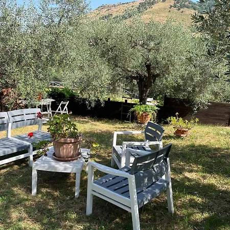 Colle Paciocco מלון דירות 3*